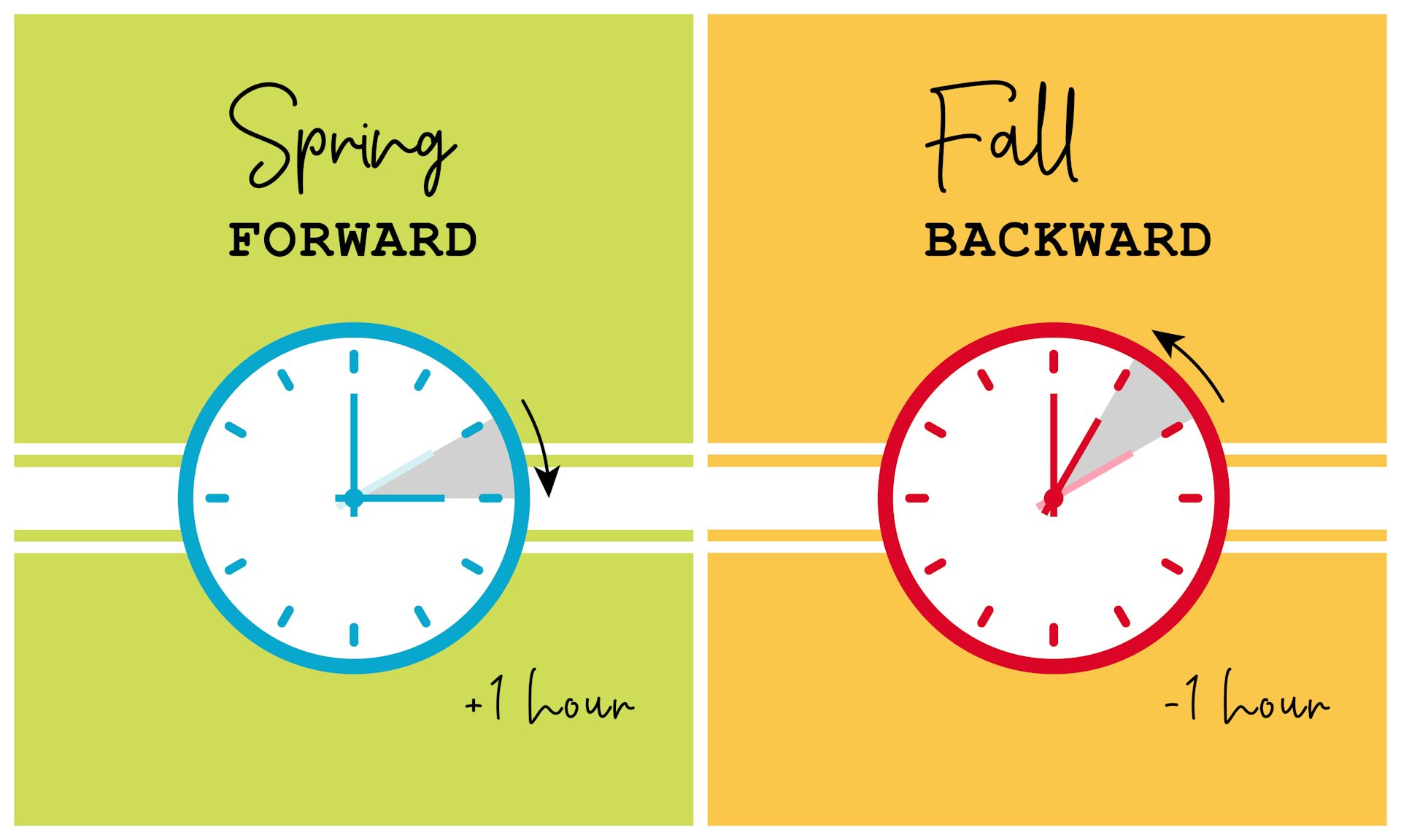 An illustration of two clocks depicting Daylight Savings Time changes: Fall backward, and spring forward.